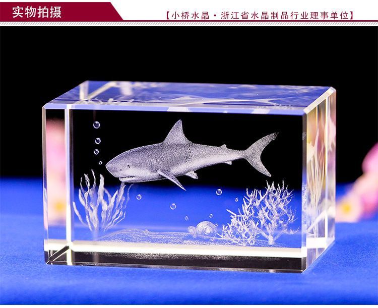 水族館賣什么紀念品比較好（水族館主題攝影展的購買指南） 水族館賣什么紀念品比較好（水族館主題攝影展的購買指南） 水族館百科（水族館加盟） 第4張