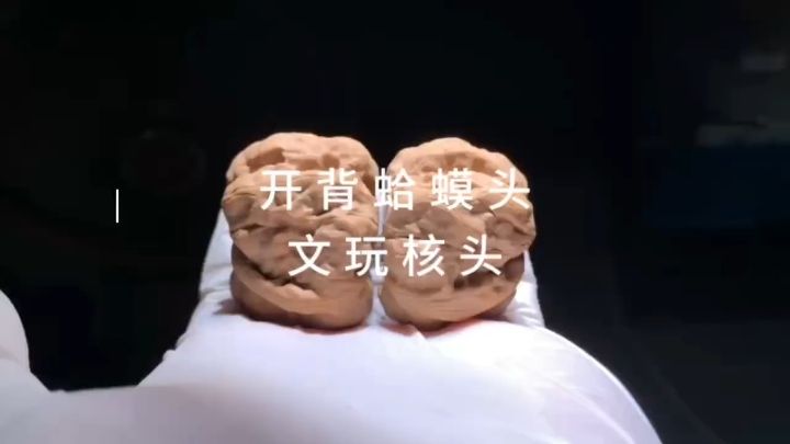 開背蛤蟆頭核桃 開背蛤蟆頭核桃 龍魚論壇