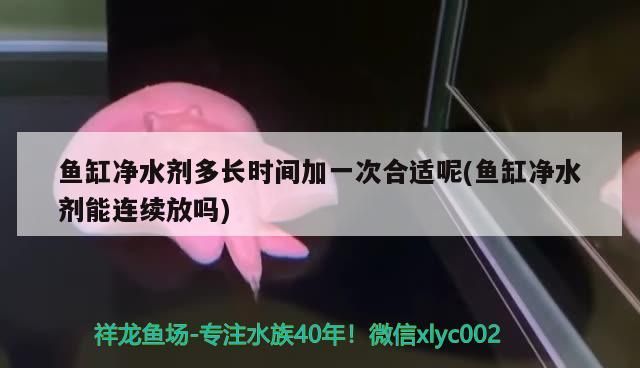 魚缸鋪石子好不好看 魚缸鋪石子好不好看圖片