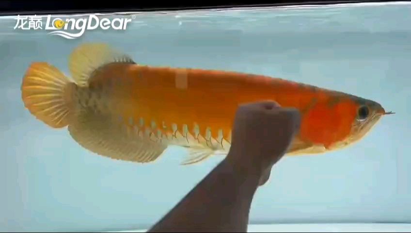 轉發677