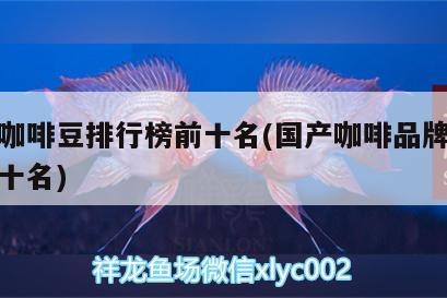紅龍魚用黃燈烤有用嗎 國產咖啡豆排行榜前十名(國產咖啡品牌排行榜前十名) 馬來西亞咖啡 國產咖啡豆排行榜前十名(國產咖啡品牌排行榜前十名) 國產咖啡豆排行榜前十名(國產咖啡品牌排行榜前十名) 馬來西亞咖啡