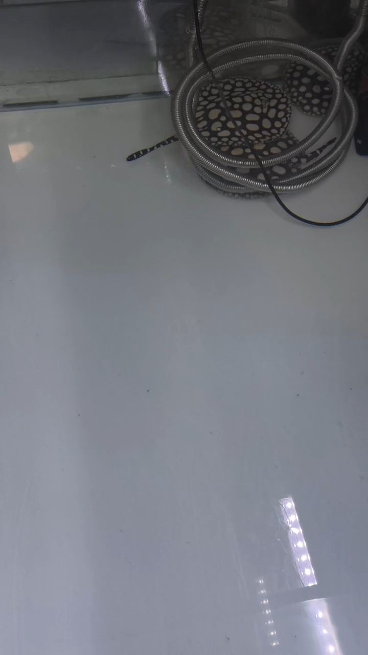 家有小女初長成
