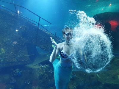 水族館推薦（探索海洋奧秘——精選全球水族館）