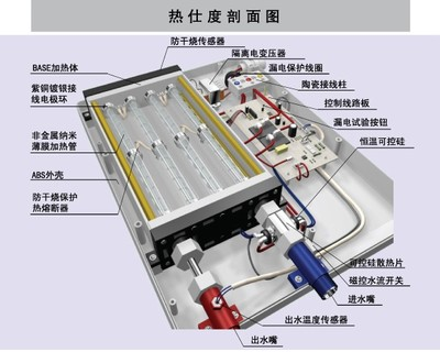 銀色金龍魚多少錢一斤啊：探尋銀色金龍魚的市場價格，一斤究竟值幾何？