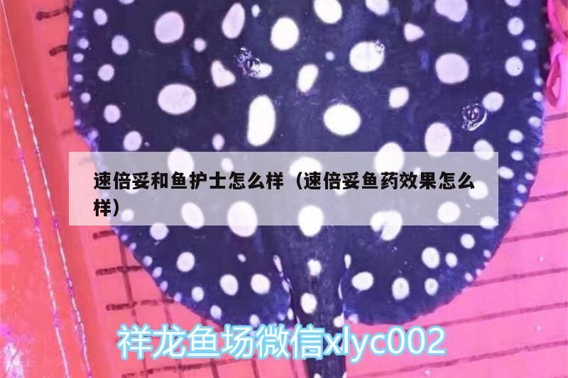 速倍妥和魚護士怎么樣（速倍妥魚藥效果怎么樣） 速倍妥和魚護士怎么樣（速倍妥魚藥效果怎么樣） 速倍妥
