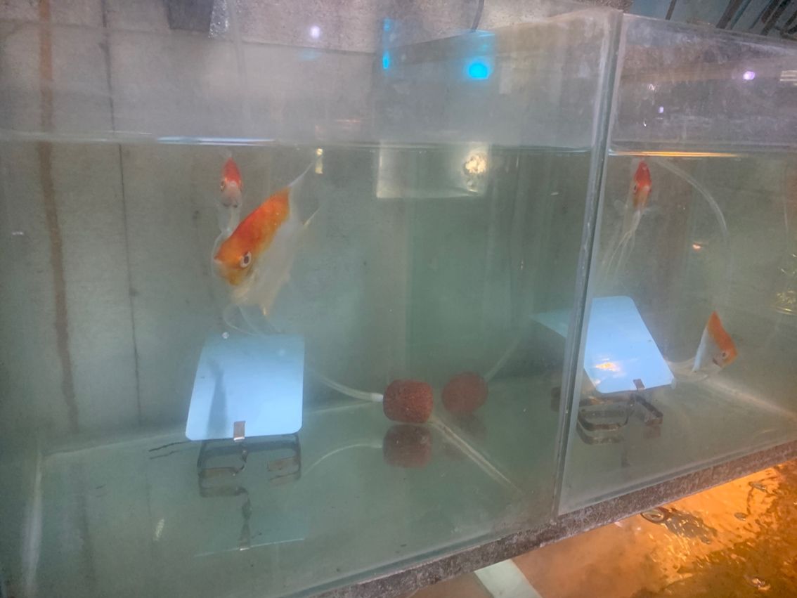 批發(fā) 批發(fā)??
