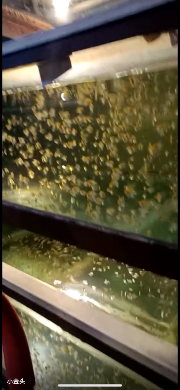 批發(fā) 批發(fā)??