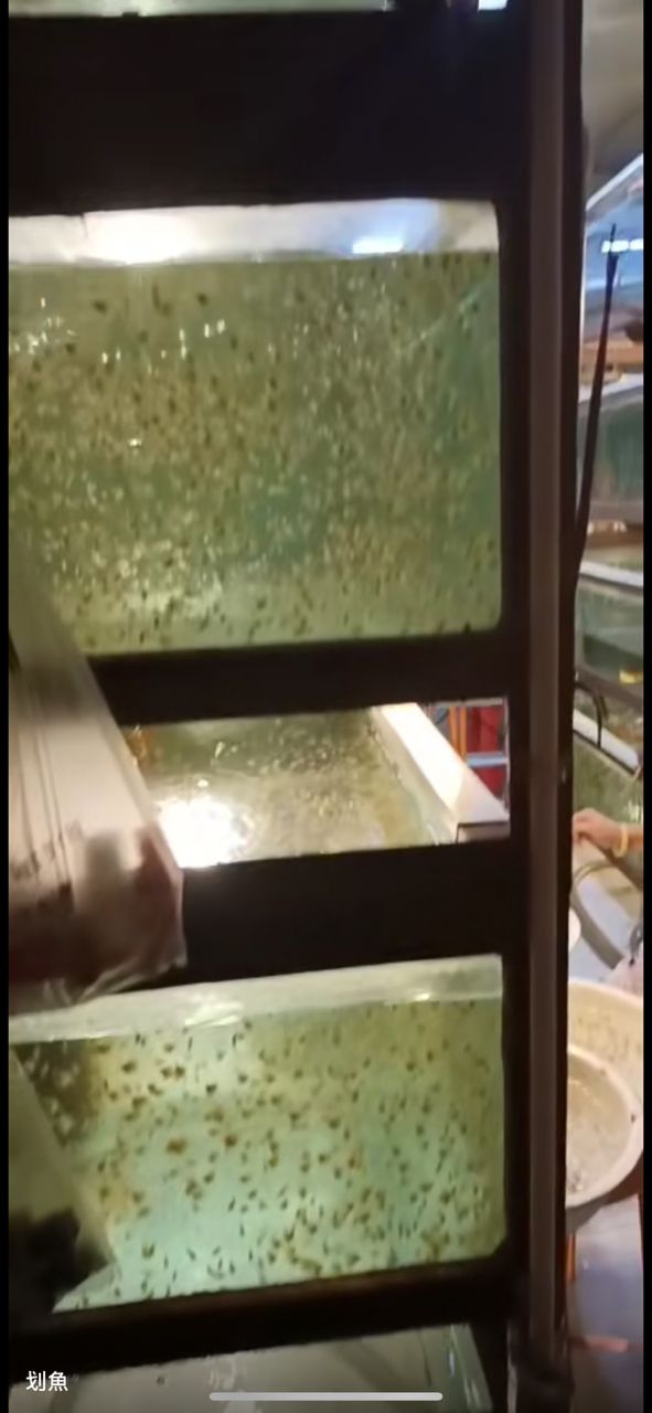 批發(fā) 批發(fā)??