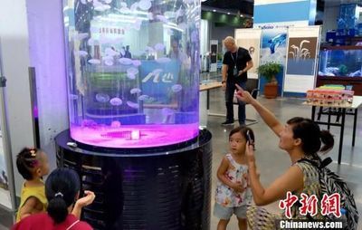觀賞魚交流平臺（觀賞魚的繁殖技術）