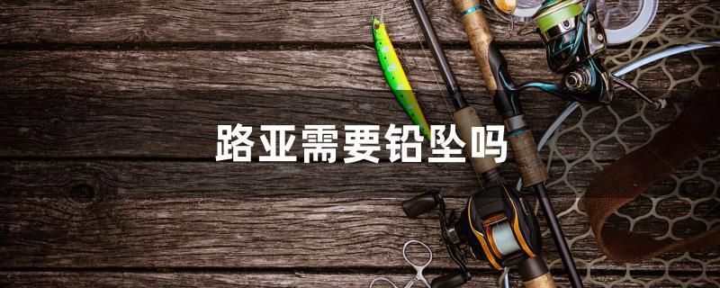 溫州市鹿城區王仕膽水族店