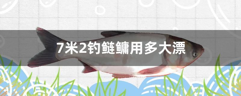 7米2釣鰱鳙用多大漂 7米2釣鰱鳙用多大漂 速倍妥魚糧魚藥