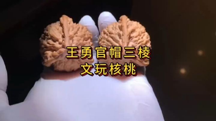 官帽三棱核桃 官帽三棱核桃 龍魚(yú)論壇