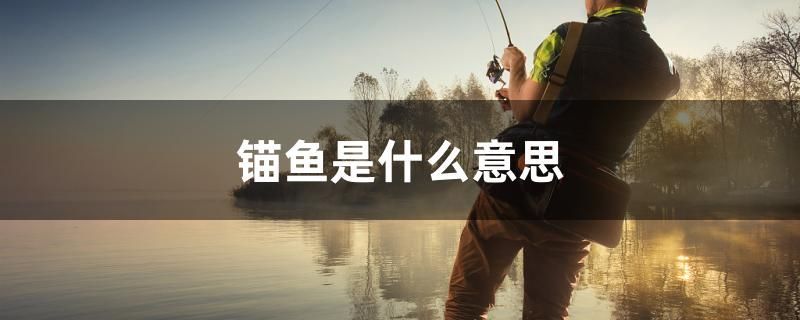 雙鴨山水族批發(fā)市場在哪里啊（ 雙鴨山水族批發(fā)市場在哪里啊最近） 雙鴨山水族批發(fā)市場在哪里啊（ 雙鴨山水族批發(fā)市場在哪里啊最近） 速倍妥