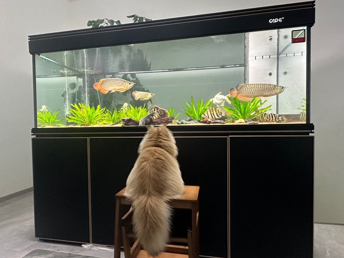 記錄。