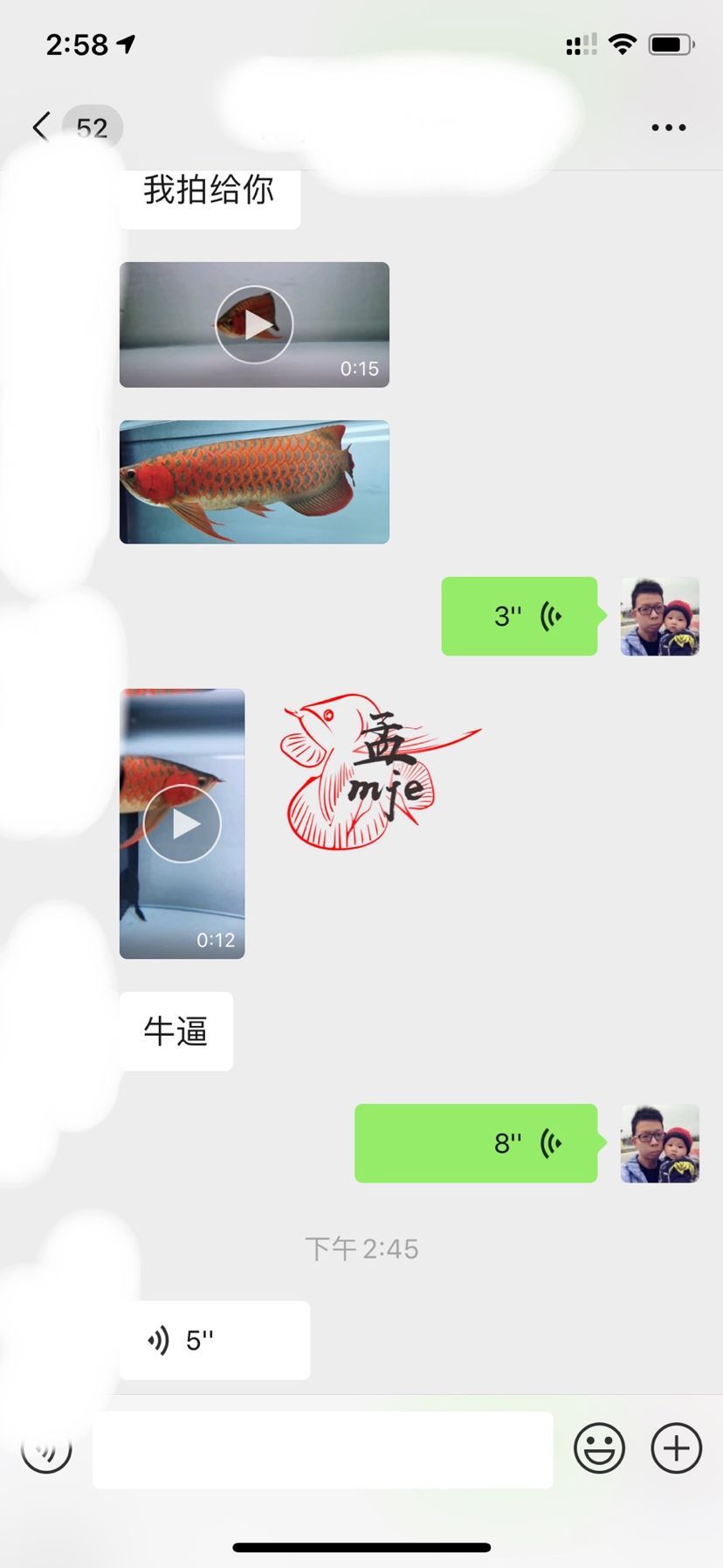 孟吉爾～萬吉河北魚友飼養反饋