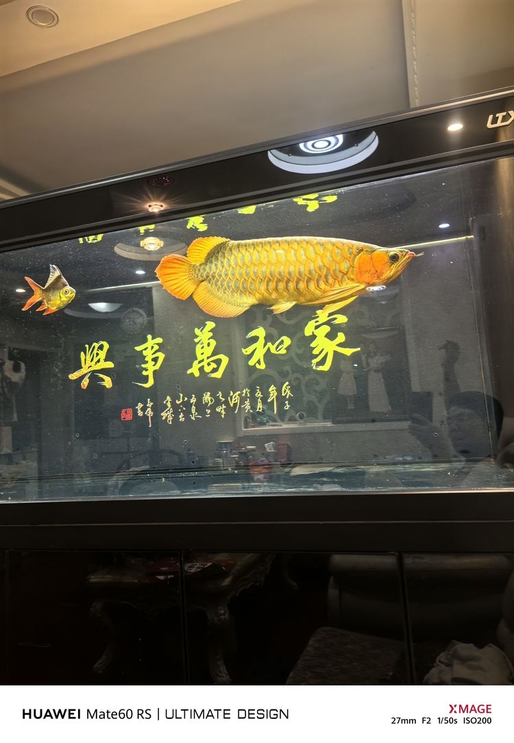 繼續(xù)餓