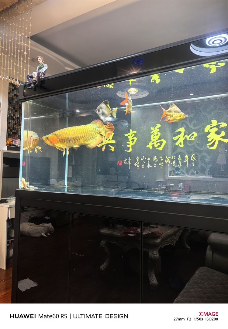 繼續(xù)餓