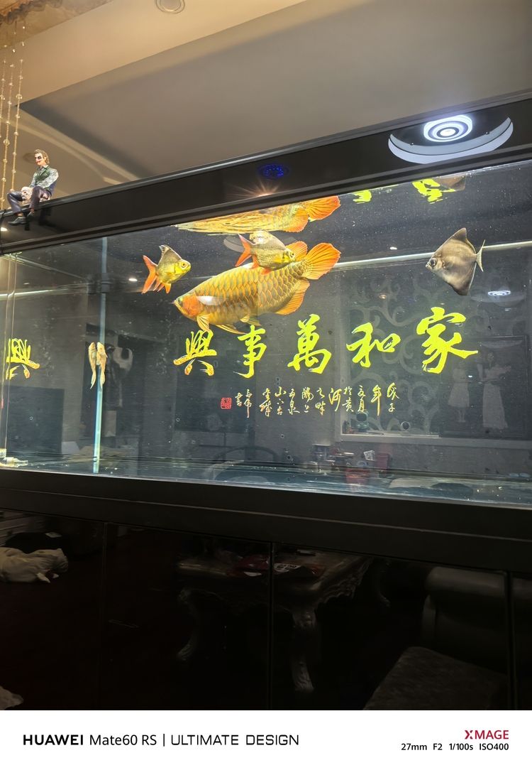 繼續(xù)餓