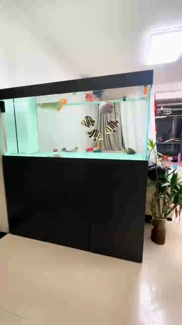 魚缸用增氧泵價格是多少:魚缸增氧機-xtrac增氧機-xtrac增氧機 越來越有畫面了 龍魚論壇 越來越有畫面了 越來越有畫面了 龍魚論壇