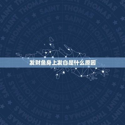 豬鼻龜身上發白怎么辦圖片：豬鼻龜頭發白怎么辦，龜頭發白怎么辦，