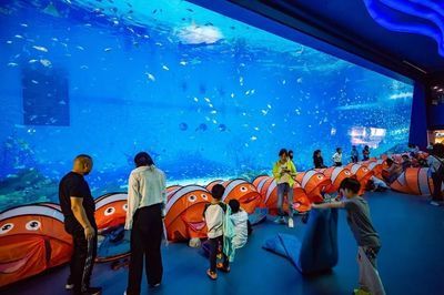 開一家水族館需要些什么東西呢視頻（開一家水族館需要準(zhǔn)備什么）