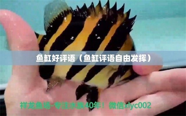 仟湖水族有限公司（仟湖水族有限公司電話）