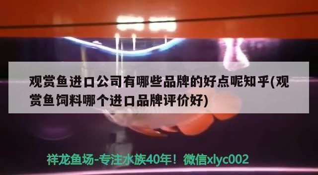 龍魚缸換水需要凈水器嗎vs祥龍魚場：龍魚缸換水的基本要求和注意事項 龍魚缸換水需要凈水器嗎vs祥龍魚場：龍魚缸換水的基本要求和注意事項 vs祥龍魚場 第5張