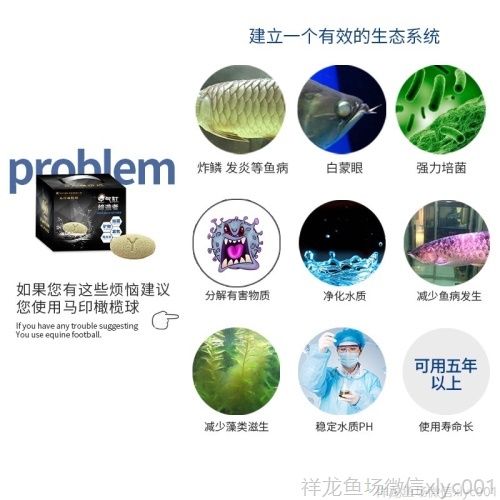 馬印橄欖球魚缸過(guò)濾材料魚缸凈水過(guò)濾器材細(xì)菌屋硝化細(xì)菌水質(zhì)凈化