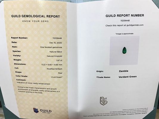 龍魚怎么養白魚好看圖片大全：龍魚與白魚混養，打造絢麗水族景觀的秘籍與視覺盛宴