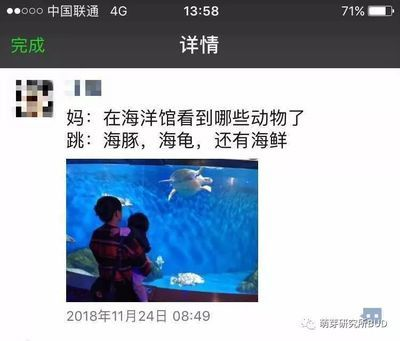 水族館 游戲（水族館游戲哪個最耐玩）