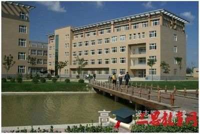 龍魚怎么上色的圖片大全：探秘龍魚上色的視覺奧秘，圖片背后的色彩世界
