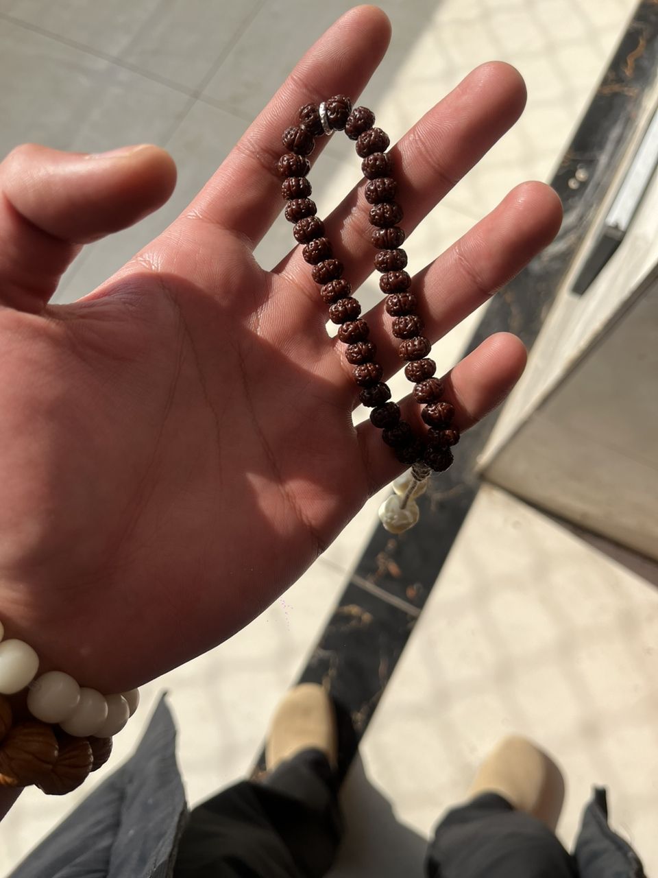 樹王小金剛 樹王小金剛 龍魚論壇