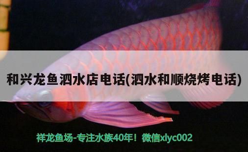 魚缸 和興龍魚泗水店電話(泗水和順燒烤電話) 泗水龍魚 和興龍魚泗水店電話(泗水和順燒烤電話) 和興龍魚泗水店電話(泗水和順燒烤電話) 泗水龍魚