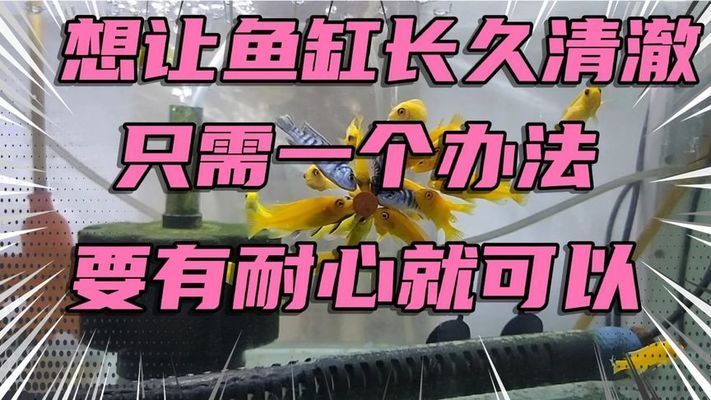老魚匠的造浪泵怎么樣好用嗎（老魚匠的造浪泵怎么樣好用嗎視頻）