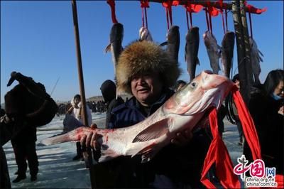 龍魚原產(chǎn)地是哪里的：探尋龍魚的神秘原產(chǎn)地