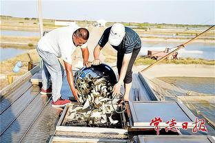 龍魚與什么魚混養最好看圖片：龍魚混養，探尋最美水下伴侶