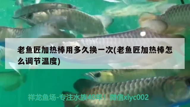 老魚(yú)匠加熱棒用多久換一次(老魚(yú)匠加熱棒怎么調(diào)節(jié)溫度)