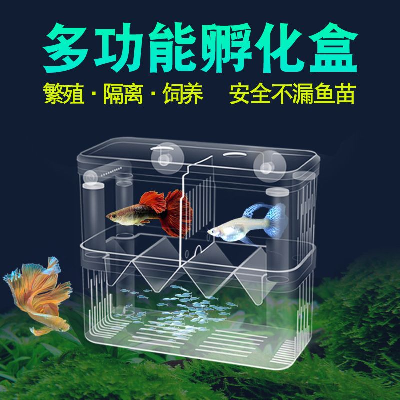 龍魚魚缸換水怎么換圖解視頻：龍魚魚缸換水全攻略，圖解讓你輕松上手