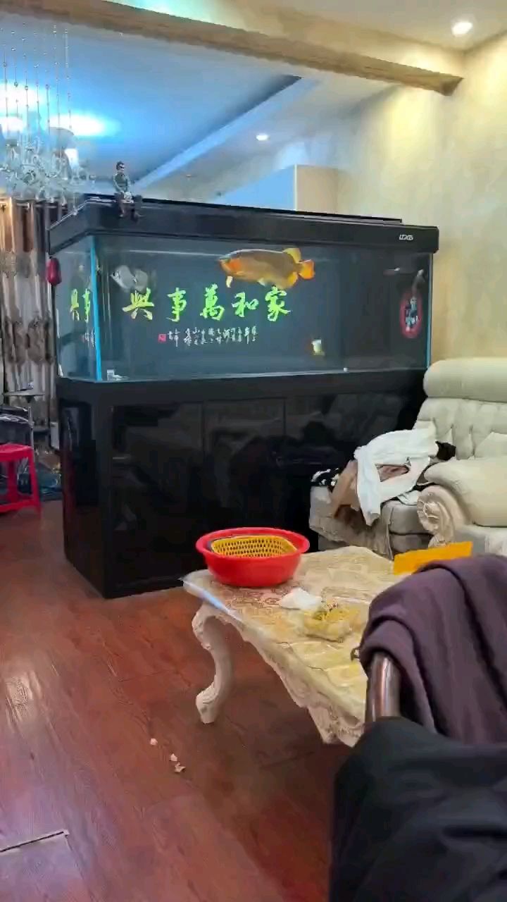 不怎么吃，關燈靜養三四天了也不吃