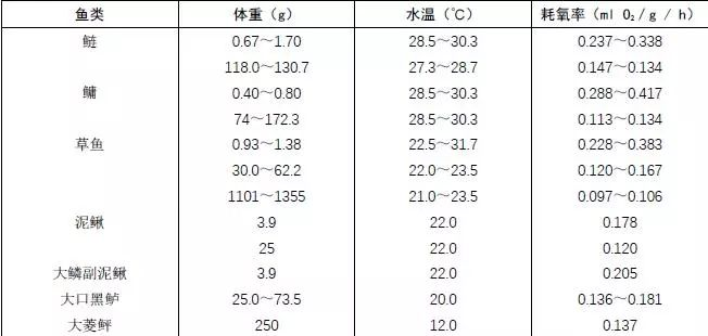 龍魚幼苗圖片大全欣賞視頻：龍魚幼苗圖片大全欣賞，探尋水中精靈的初始之美