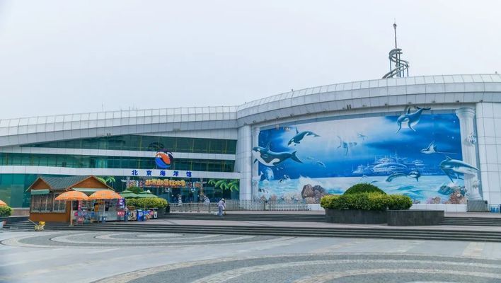 水族館要預(yù)約嗎北京(北京海洋館特惠票購買指南) 水族館百科(水族館加盟) 第1張 水族館要預(yù)約嗎北京(北京海洋館特惠票購買指南) 水族館要預(yù)約嗎北京(北京海洋館特惠票購買指南) 水族館百科(水族館加盟) 第1張