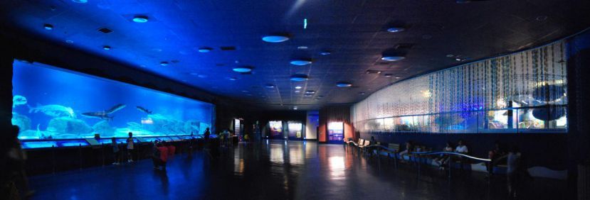 水族館要預(yù)約嗎北京(北京海洋館特惠票購買指南) 水族館百科(水族館加盟) 第3張 水族館要預(yù)約嗎北京(北京海洋館特惠票購買指南) 水族館要預(yù)約嗎北京(北京海洋館特惠票購買指南) 水族館百科(水族館加盟) 第3張