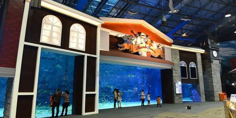 水族館要預(yù)約嗎北京(北京海洋館特惠票購買指南) 水族館百科(水族館加盟) 第4張 水族館要預(yù)約嗎北京(北京海洋館特惠票購買指南) 水族館要預(yù)約嗎北京(北京海洋館特惠票購買指南) 水族館百科(水族館加盟) 第4張