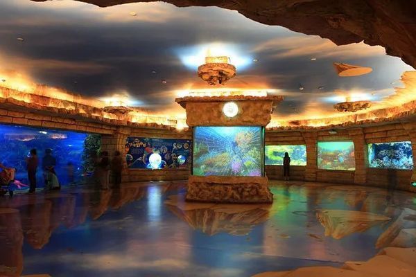 水族館要預(yù)約嗎北京(北京海洋館特惠票購買指南) 水族館百科(水族館加盟) 第5張 水族館要預(yù)約嗎北京(北京海洋館特惠票購買指南) 水族館要預(yù)約嗎北京(北京海洋館特惠票購買指南) 水族館百科(水族館加盟) 第5張