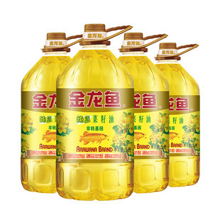 小型魚缸用什么過濾器比較好呢(小型魚缸用什么過濾系統好)