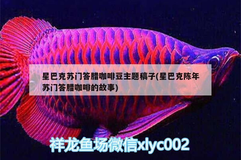 星巴克蘇門答臘咖啡豆主題稿子(星巴克陳年蘇門答臘咖啡的故事)