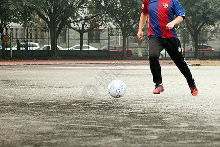 小蝦吃孔雀魚嗎(孔雀魚會吃小蝦嗎_) 小蝦吃孔雀魚嗎(孔雀魚會吃小蝦嗎_) 九鼎魚缸