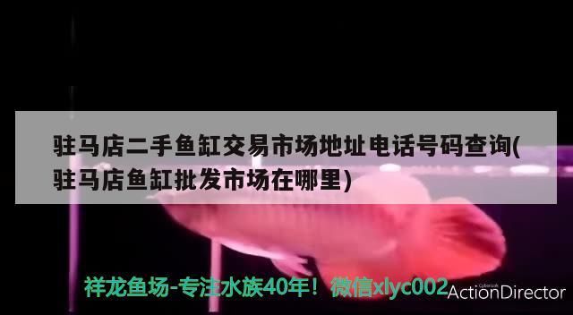 駐馬店二手魚缸交易市場地址電話號碼查詢(駐馬店魚缸批發市場在哪里)
