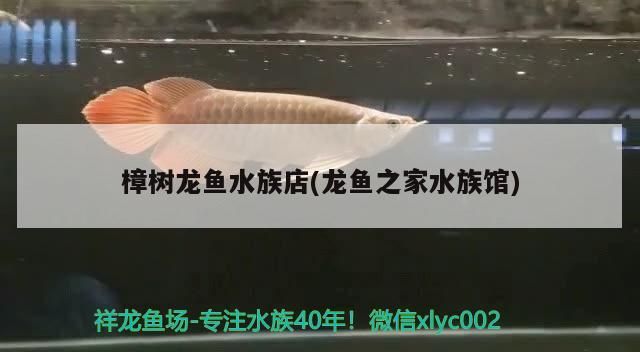 樟樹(shù)龍魚(yú)水族店(龍魚(yú)之家水族館)