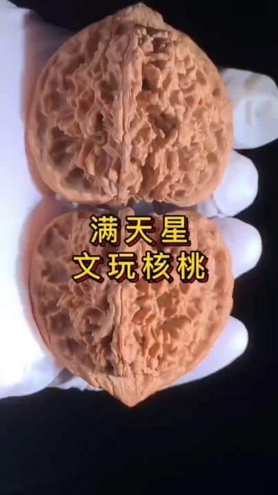滿天星核桃 龍魚論壇 滿天星核桃 滿天星核桃 龍魚論壇
